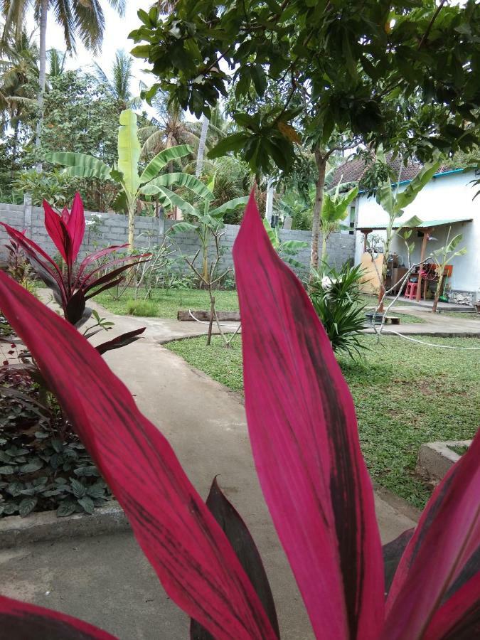 Homestay Safsia Toyapakeh